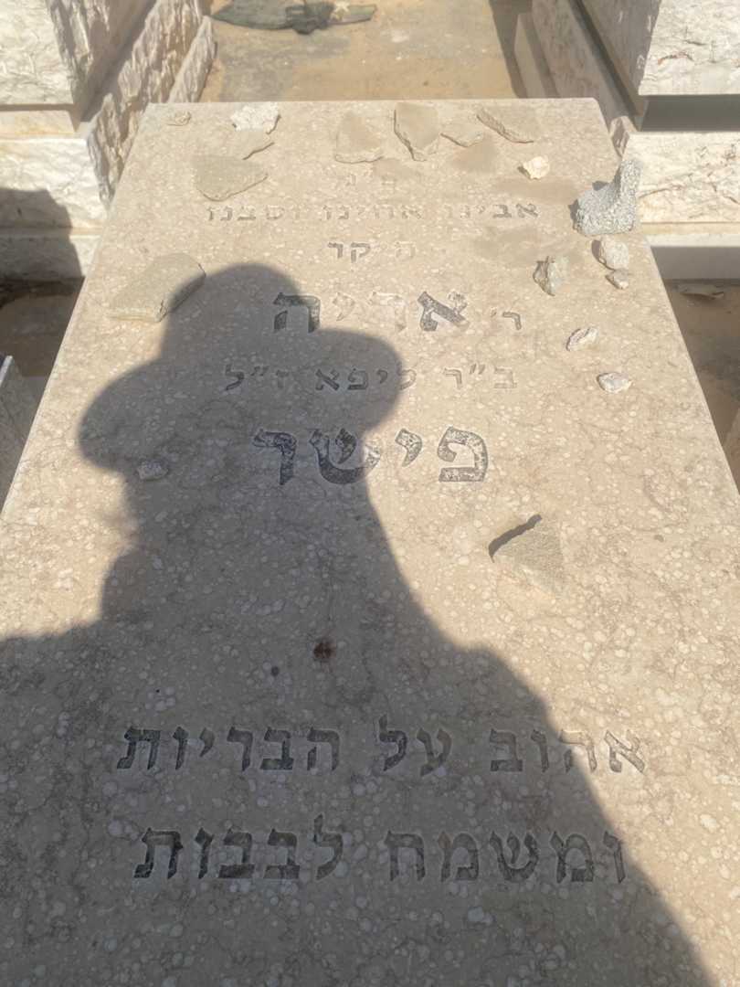 קברו של אריה פישר. תמונה 2