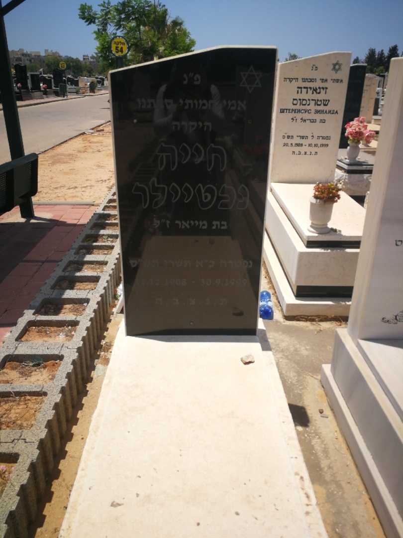 קברו של חיה נכטיילר. תמונה 1