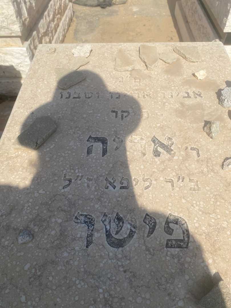 קברו של אריה פישר. תמונה 3