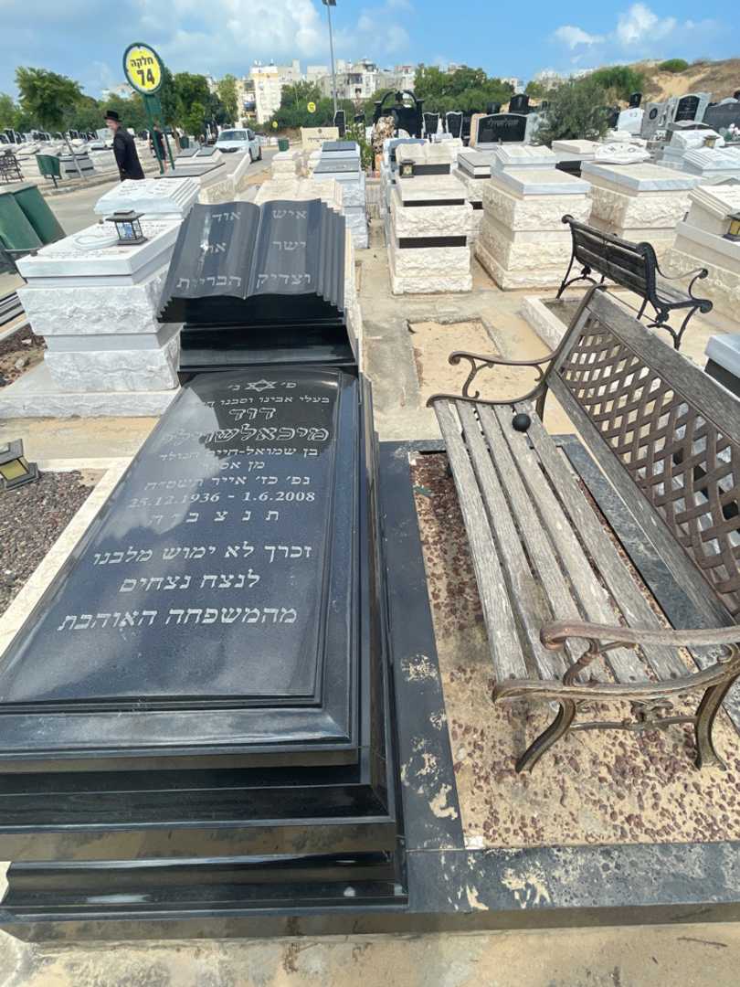 קברו של דוד מיכלשווילי. תמונה 1