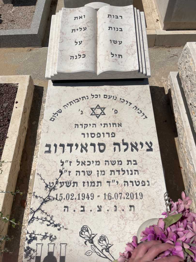 קברו של ציאלה סראידרוב. תמונה 3