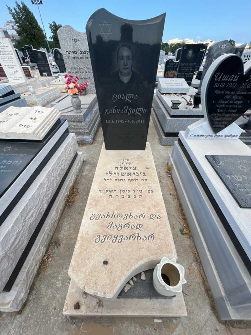 קברו של ציאלה ג'נאשוילי. תמונה 1