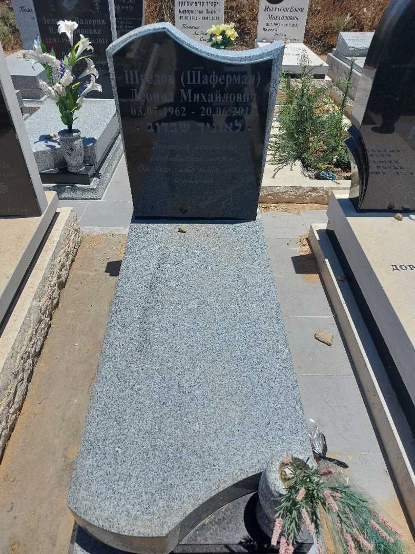 קברו של לאוניד שבדוב. תמונה 1