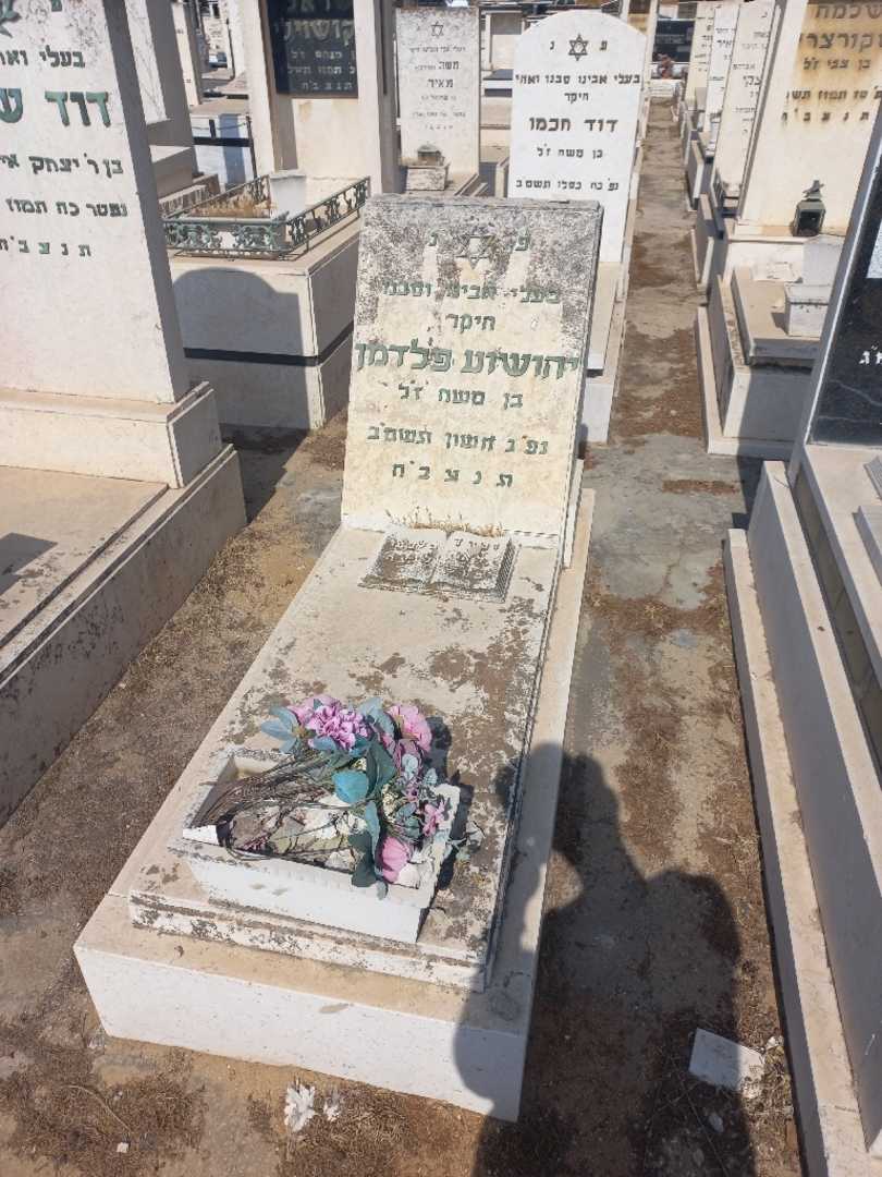 קברו של יהושע פלדמן. תמונה 1