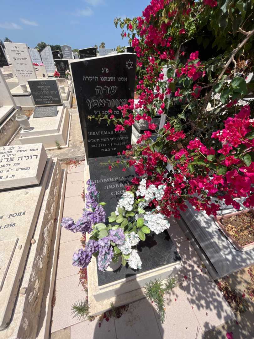 קברו של שרה שוורצמן. תמונה 1