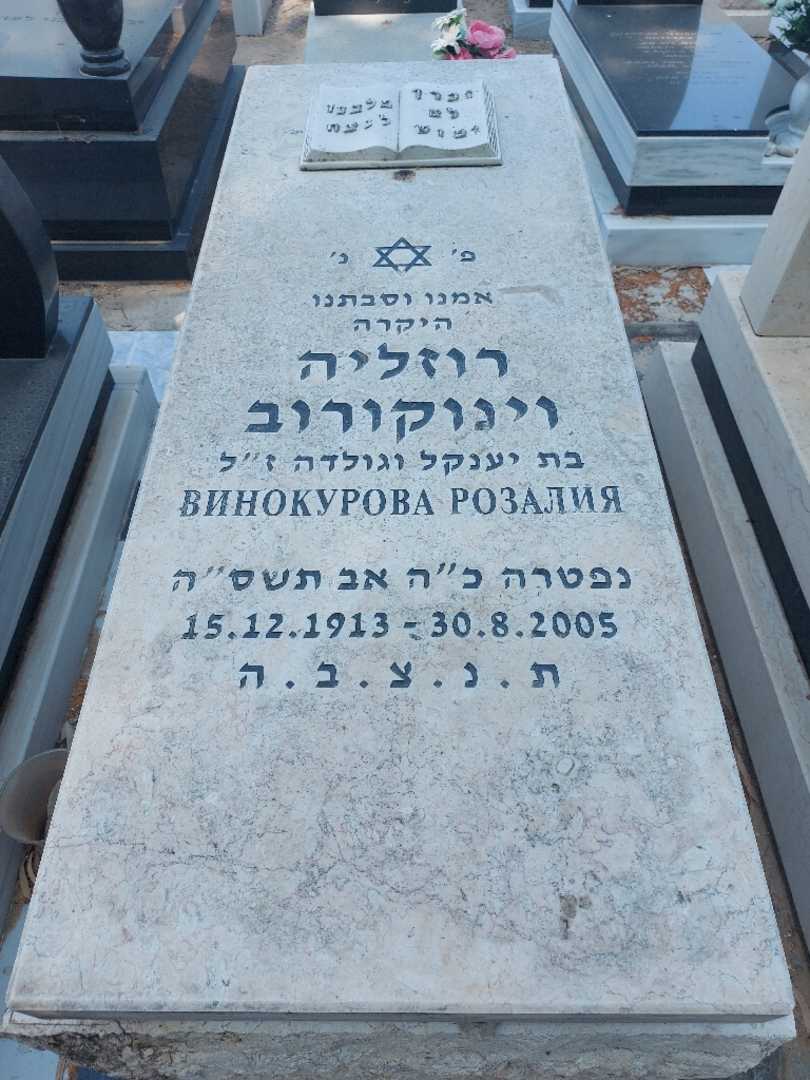 קברו של רוזליה וינוקורוב. תמונה 1