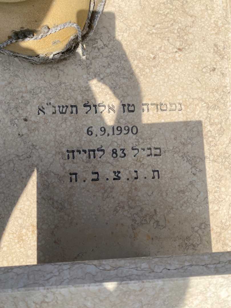 קברו של דינה מיצקי. תמונה 3