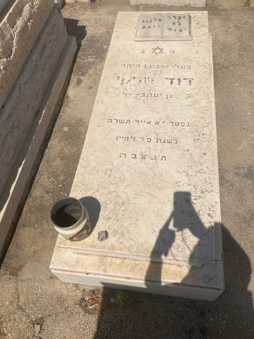 קברו של דוד שריקי. תמונה 1