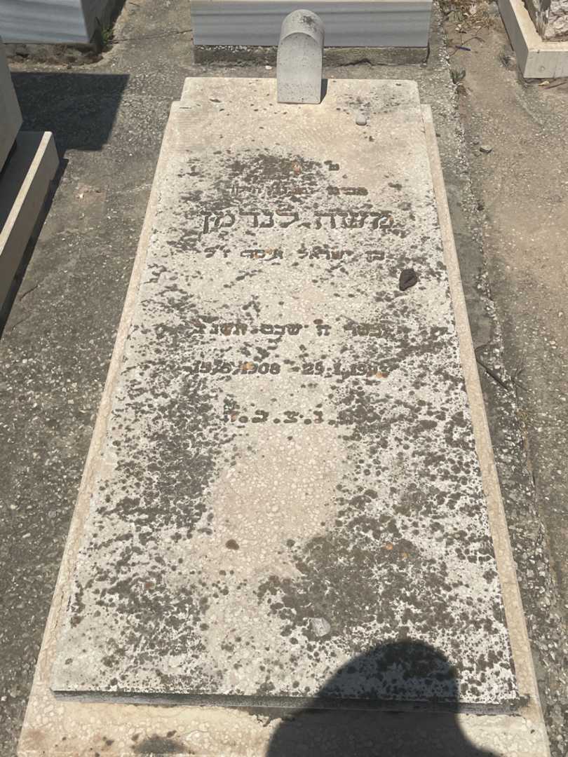 קברו של משה לנדמן. תמונה 1