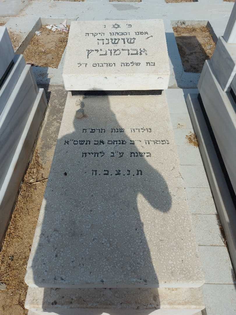 קברו של שושנה אברמוביץ. תמונה 1