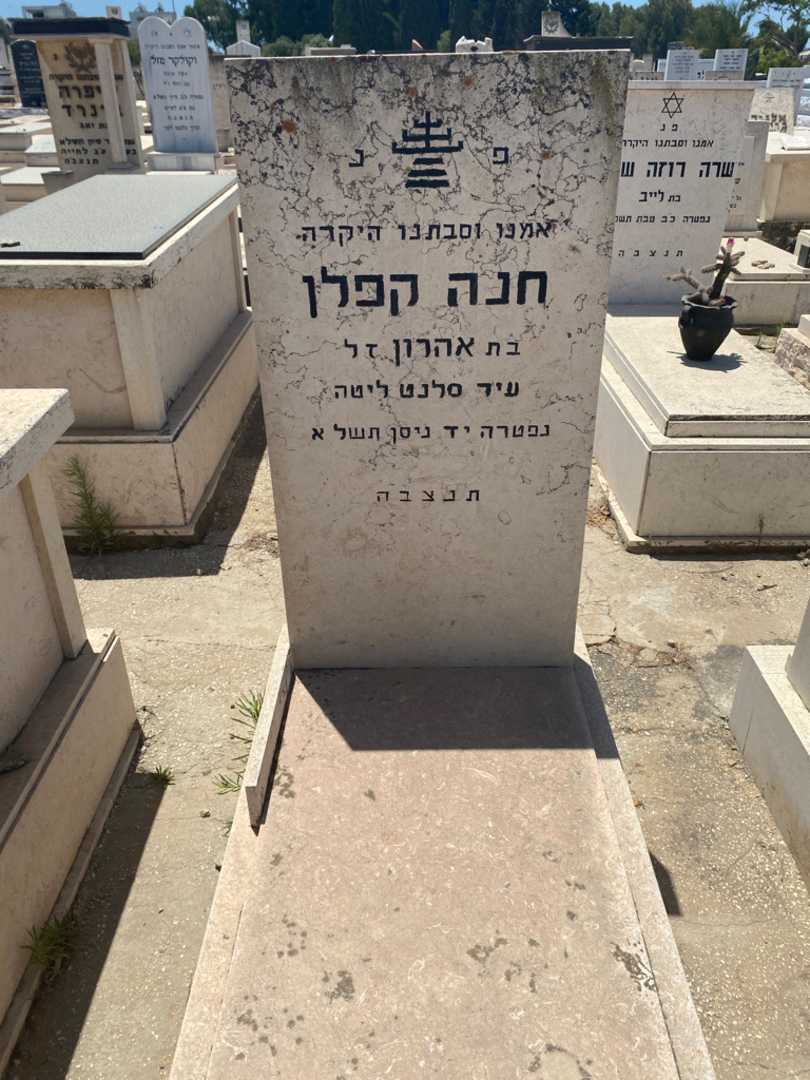 קברו של חנה קפלן. תמונה 1