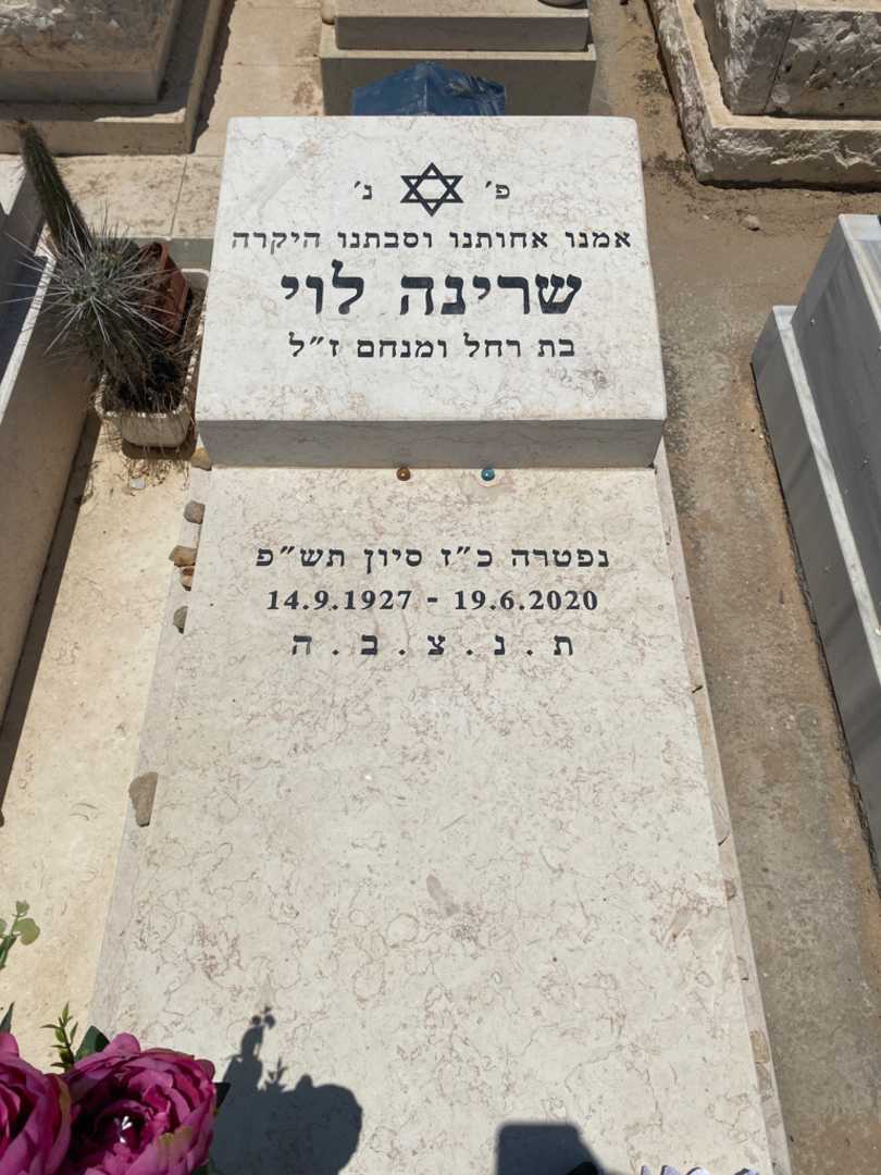 קברו של שרינה לוי. תמונה 2