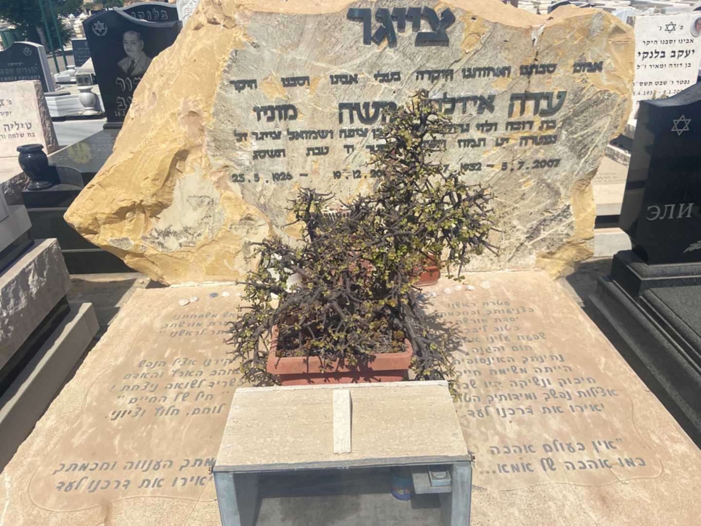 קברו של אידלה "אידלה" ציגר. תמונה 1