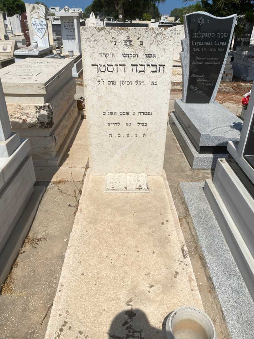 קברו של חביבה דוסטר. תמונה 1