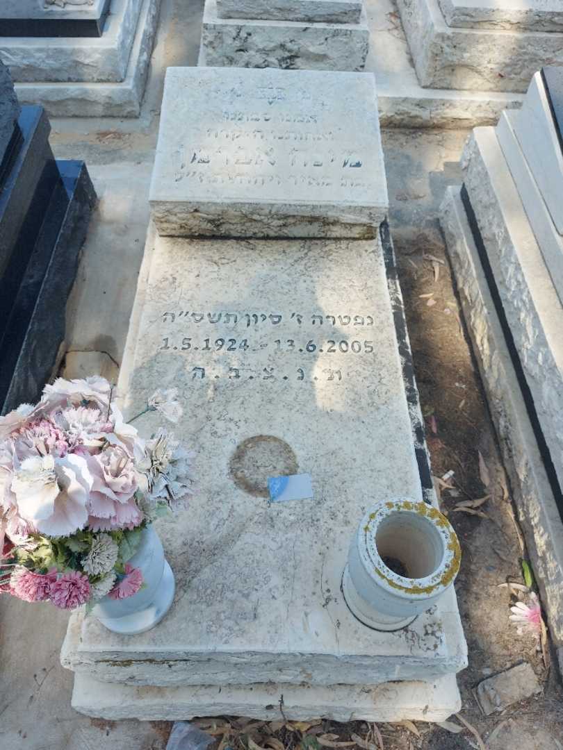 קברו של מינה אברמן. תמונה 1