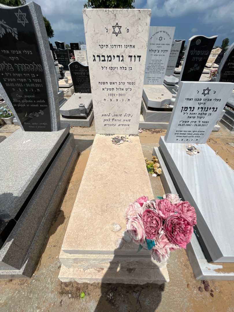 קברו של דוד גרינברג. תמונה 1