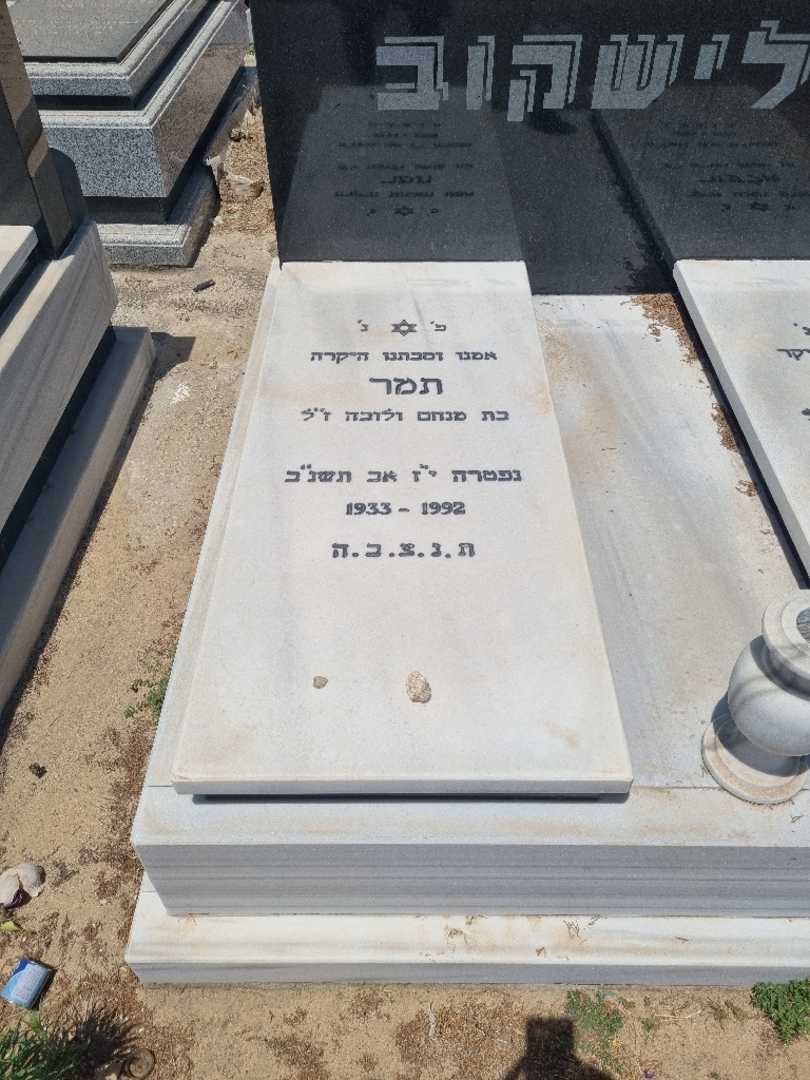 קברו של תמר אלישקוב. תמונה 1