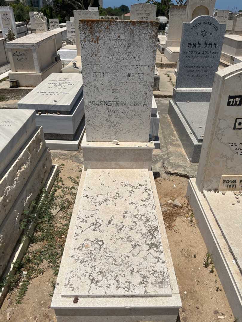 קברו של לורה פוסנשטיין. תמונה 1