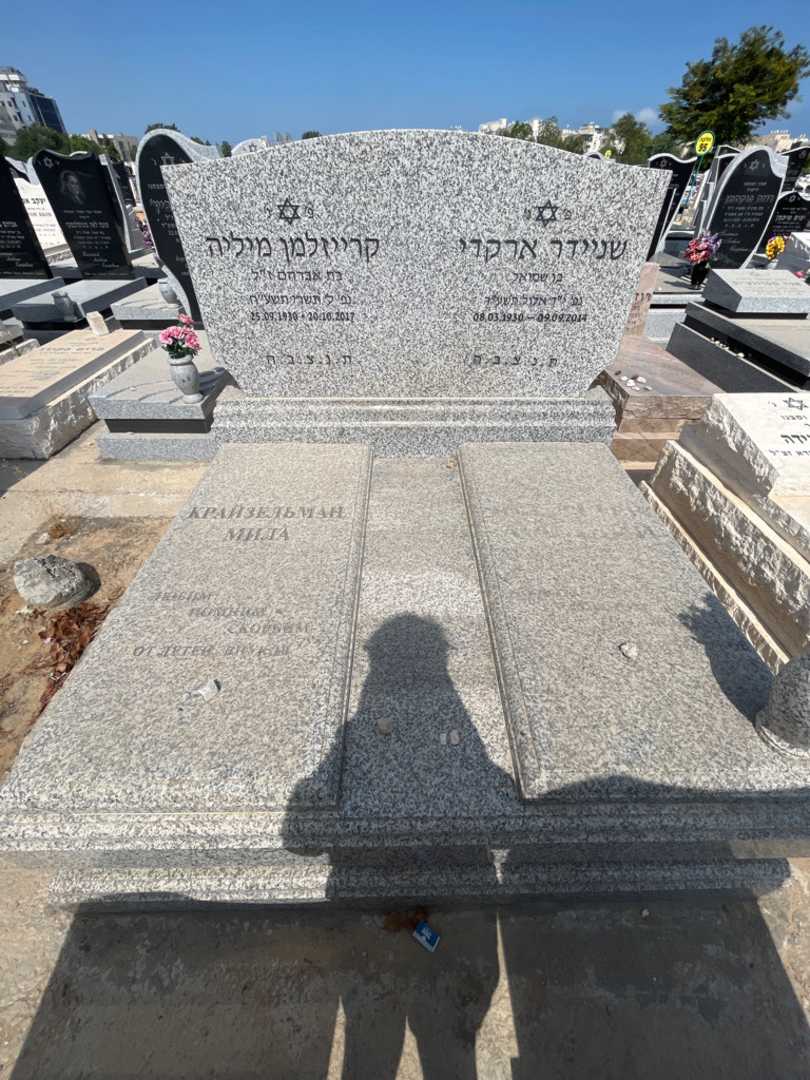 קברו של ארקדי שניידר. תמונה 1