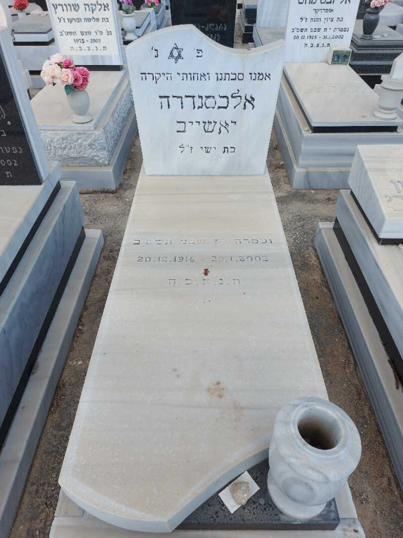 קברו של אלכסנדרה יאשייב. תמונה 1