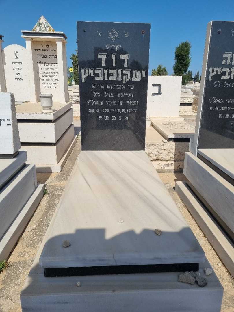 קברו של דוד יעקובוביץ. תמונה 1
