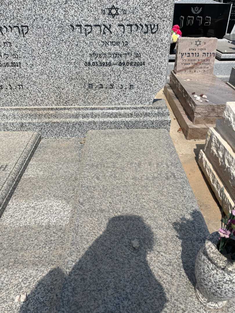 קברו של ארקדי שניידר. תמונה 2