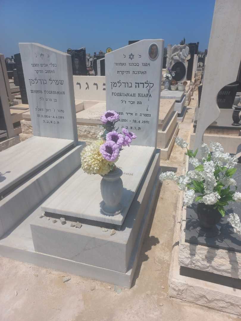 קברו של קלרה גודלמן. תמונה 2