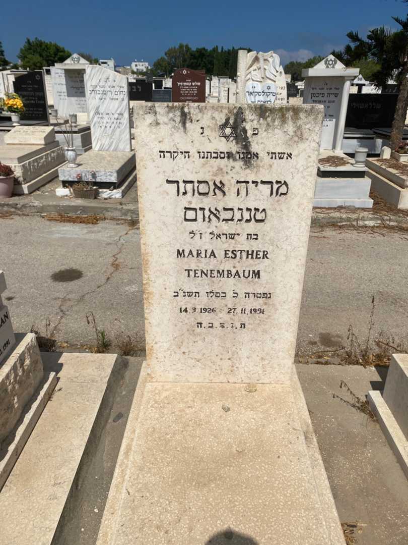 קברו של אסתר טננבאום. תמונה 1