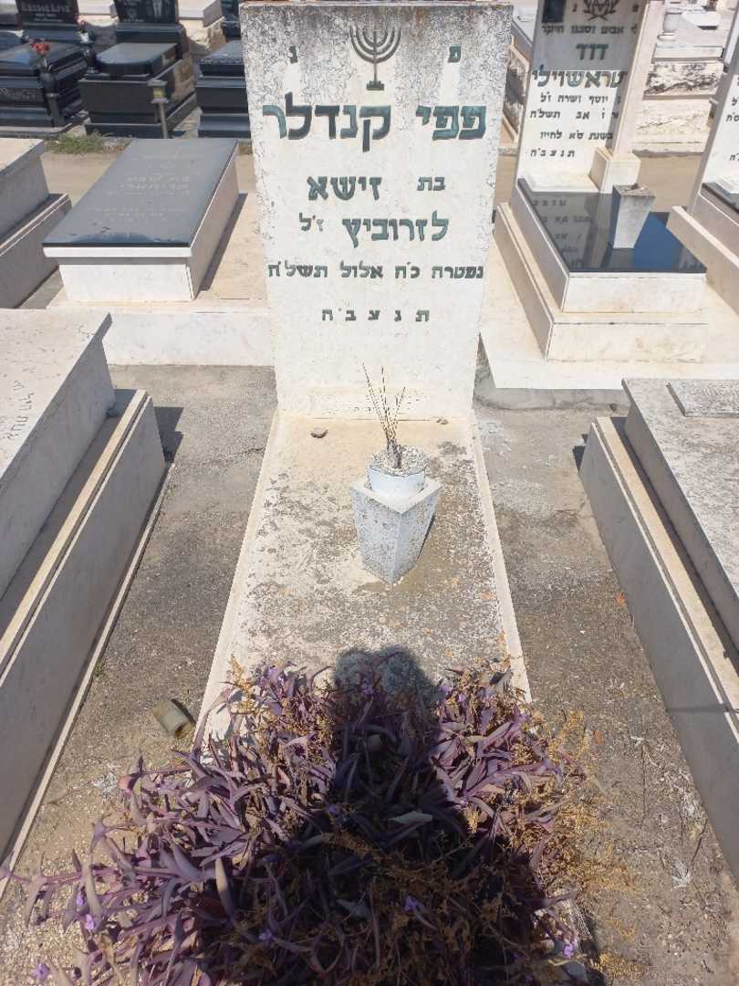 קברו של פפי קנדלר. תמונה 1