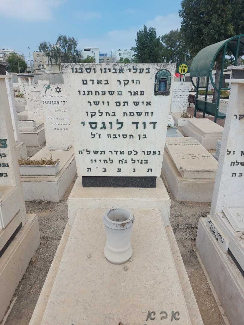 קברו של דוד לוגסי. תמונה 1