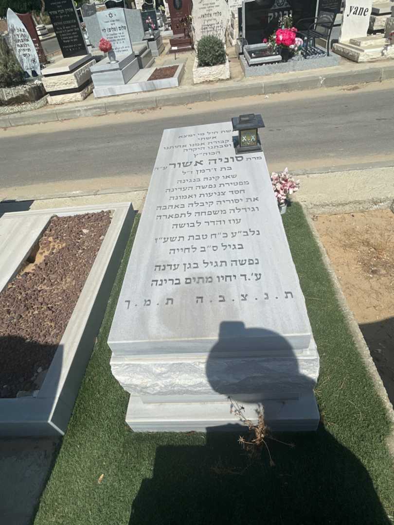 קברו של סוניה אשור. תמונה 1