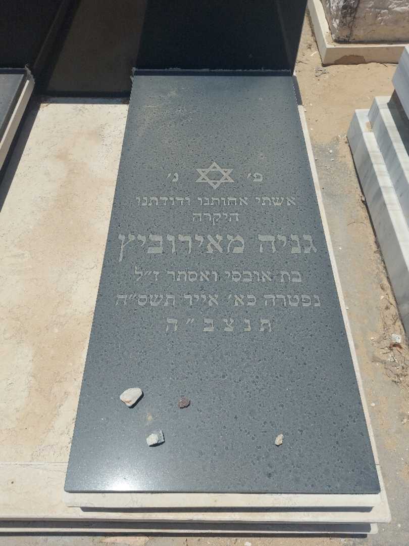קברו של גניה מאירוביץ'. תמונה 2