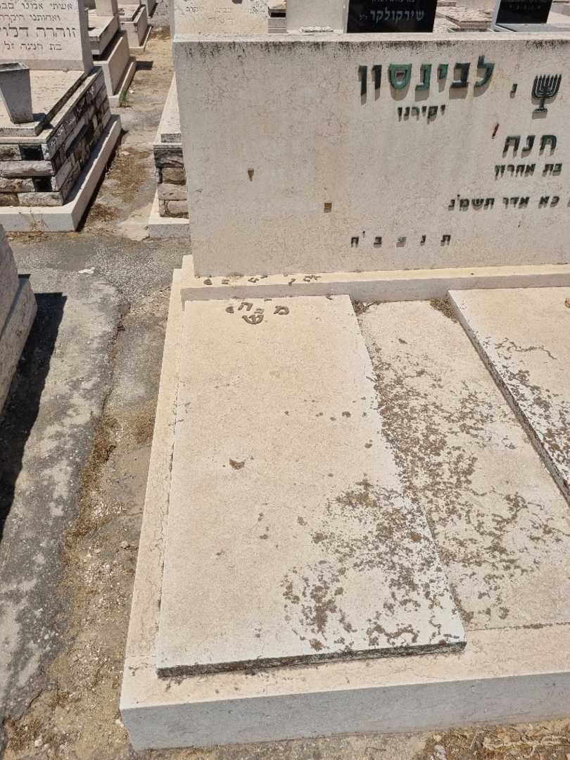 קברו של משה לבינסון. תמונה 1