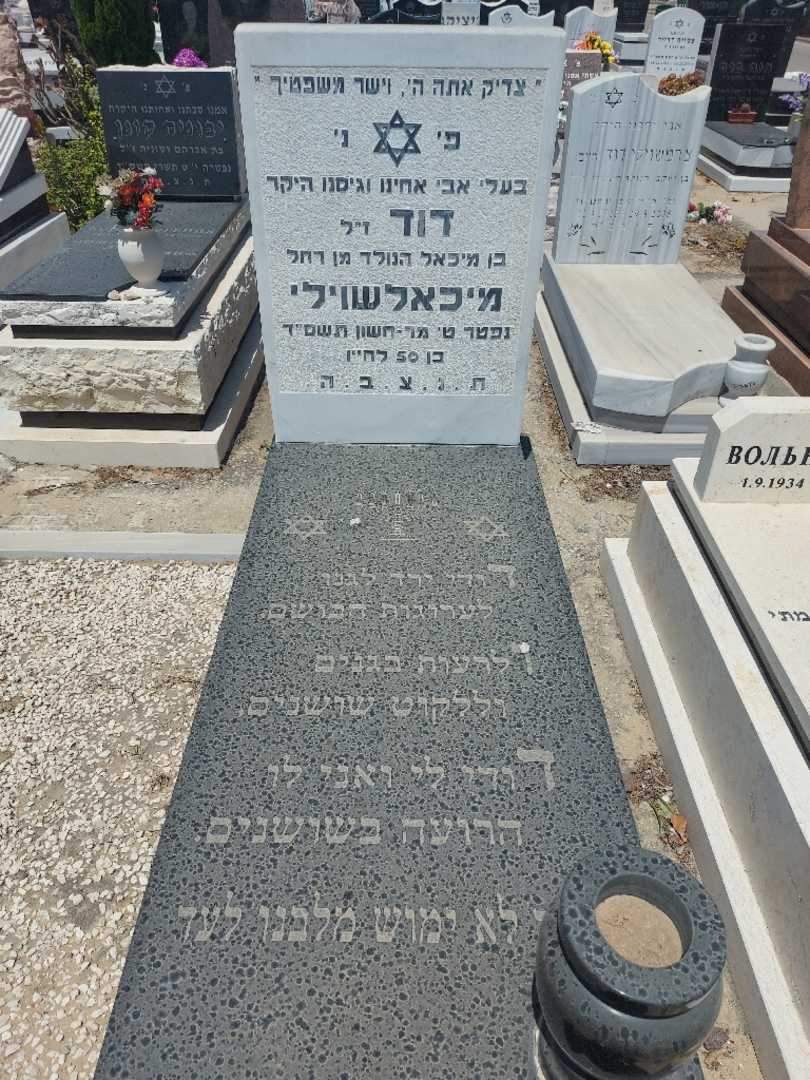 קברו של דוד מיכאלאשוילי. תמונה 1