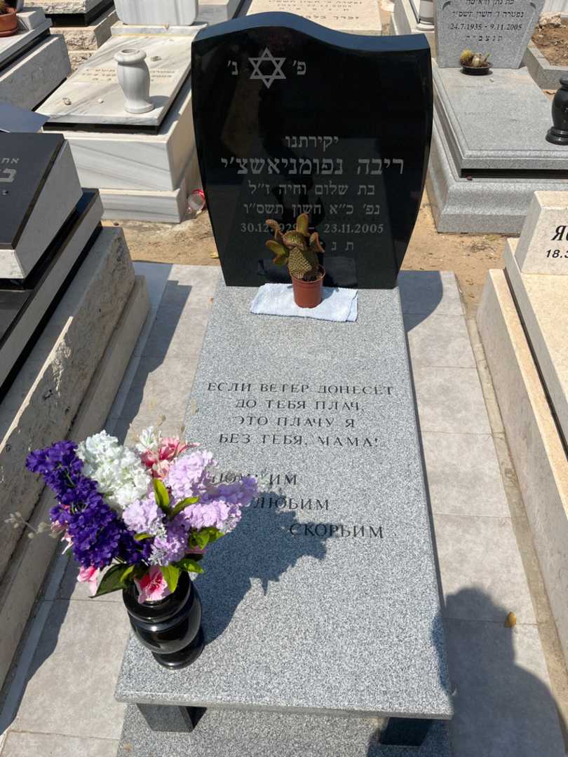 קברו של ריבה נפומניאשצ'י. תמונה 3