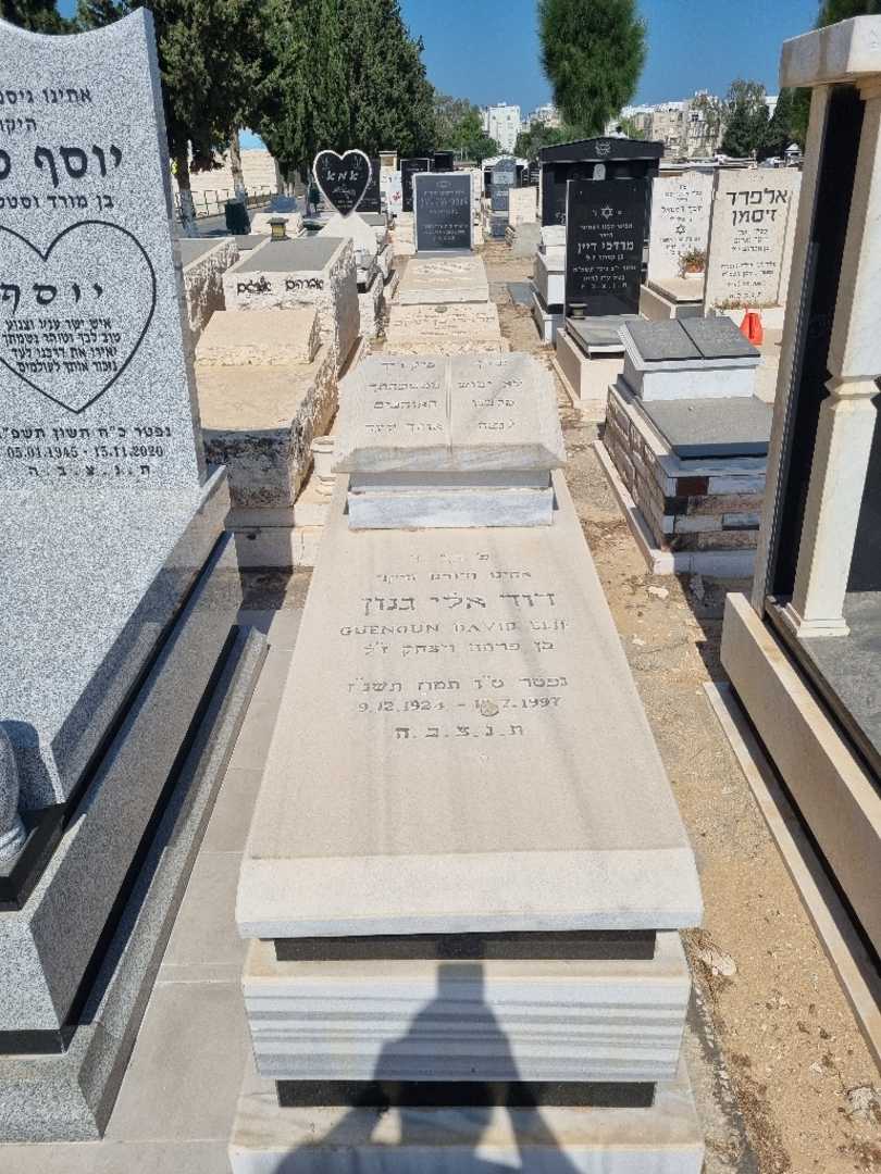 קברו של דוד גנון. תמונה 1