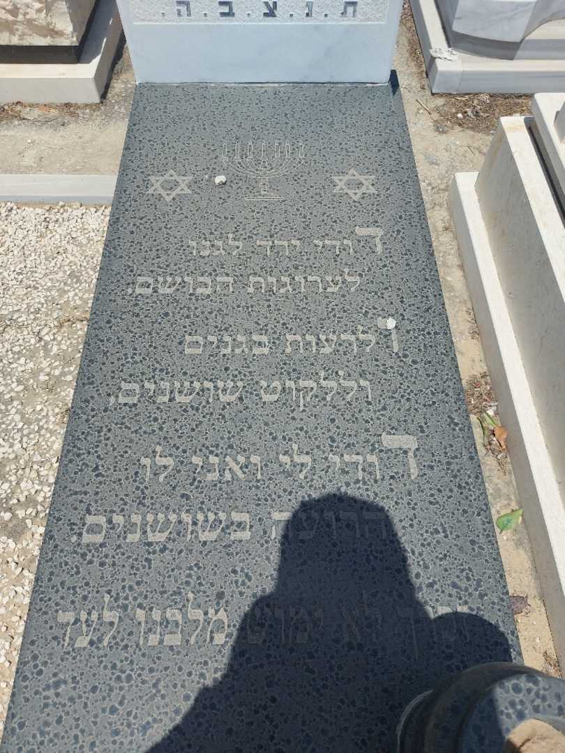 קברו של דוד מיכאלאשוילי. תמונה 2