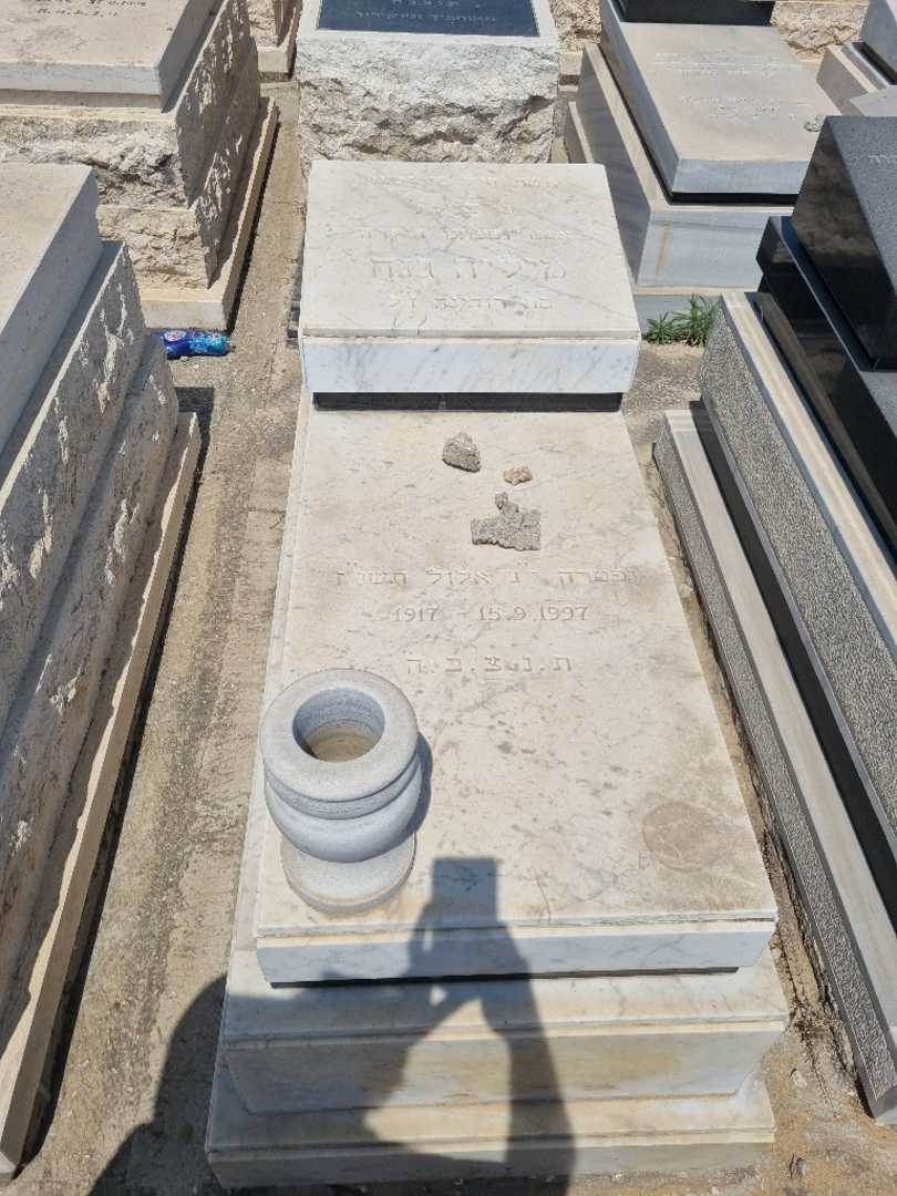קברו של מיליה ג'נח. תמונה 1