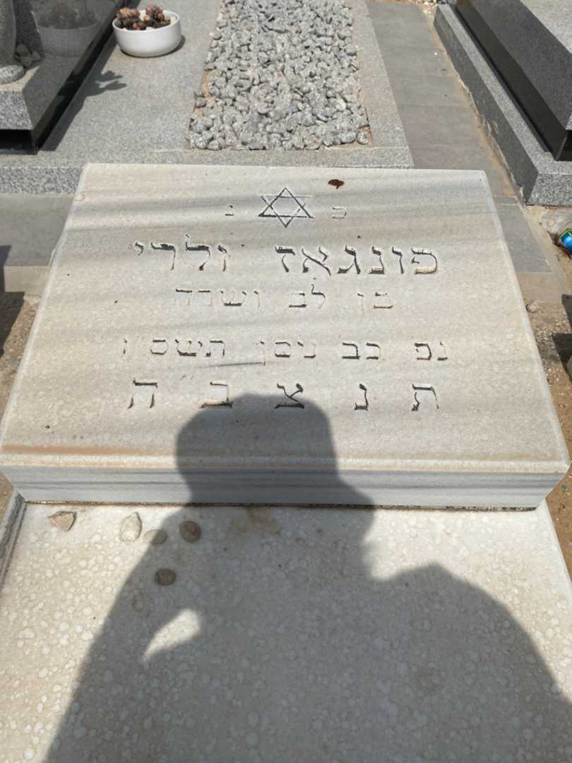 קברו של ולרי פונגאוז. תמונה 2