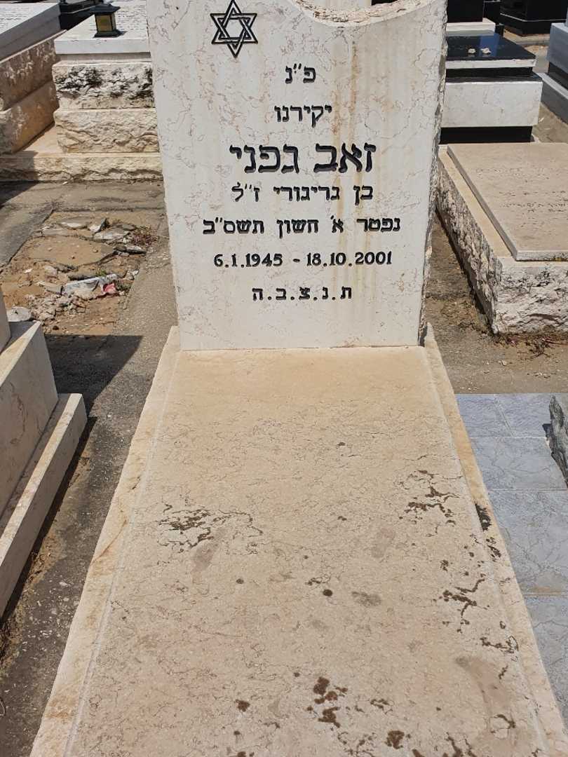 קברו של זאב גפני. תמונה 1