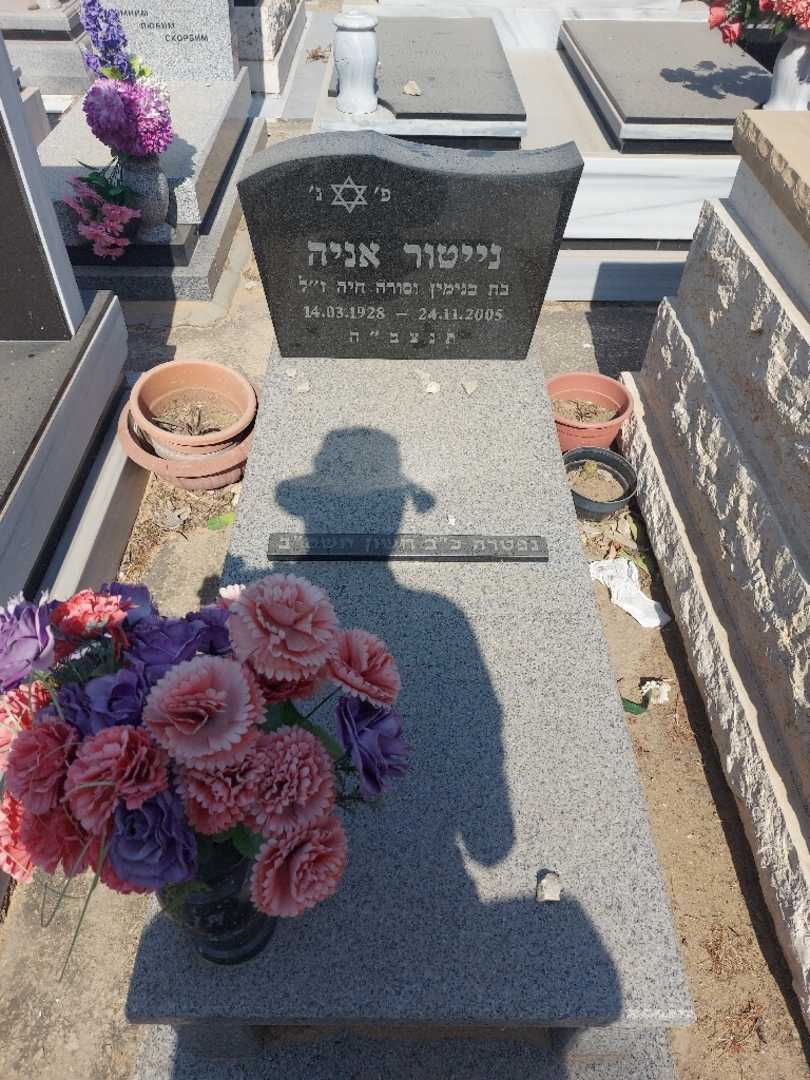 קברו של אניה נייטור. תמונה 1