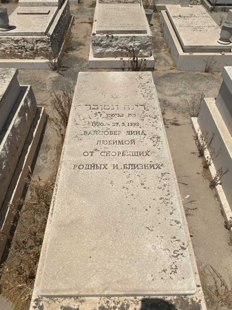 קברו של דינה ונסובר. תמונה 1
