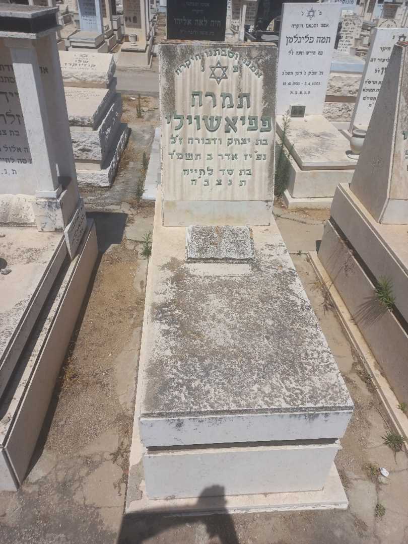 קברו של תמרה פפיאשוילי. תמונה 1