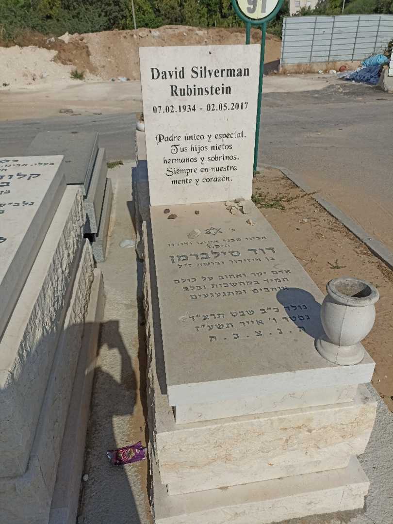 קברו של דוד סילברמן. תמונה 1