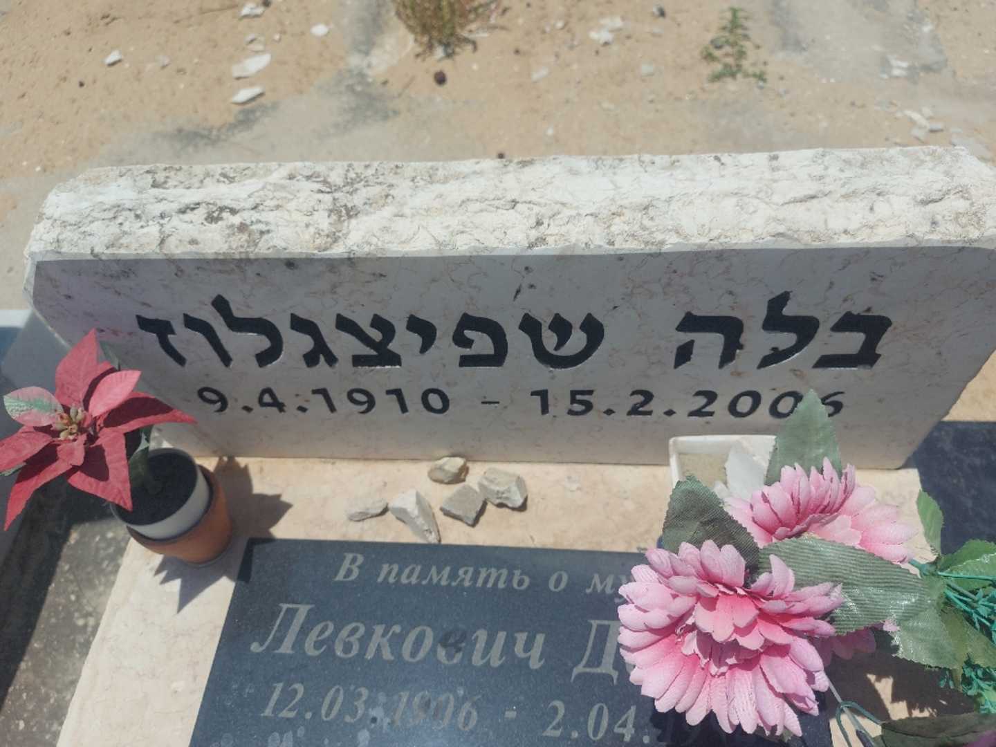 קברו של בלה שפיצגלוז. תמונה 2