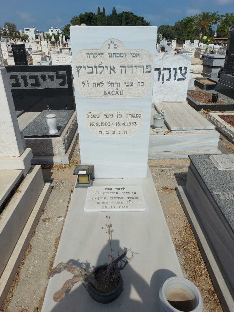 קברו של פרידה אילוביץ. תמונה 1