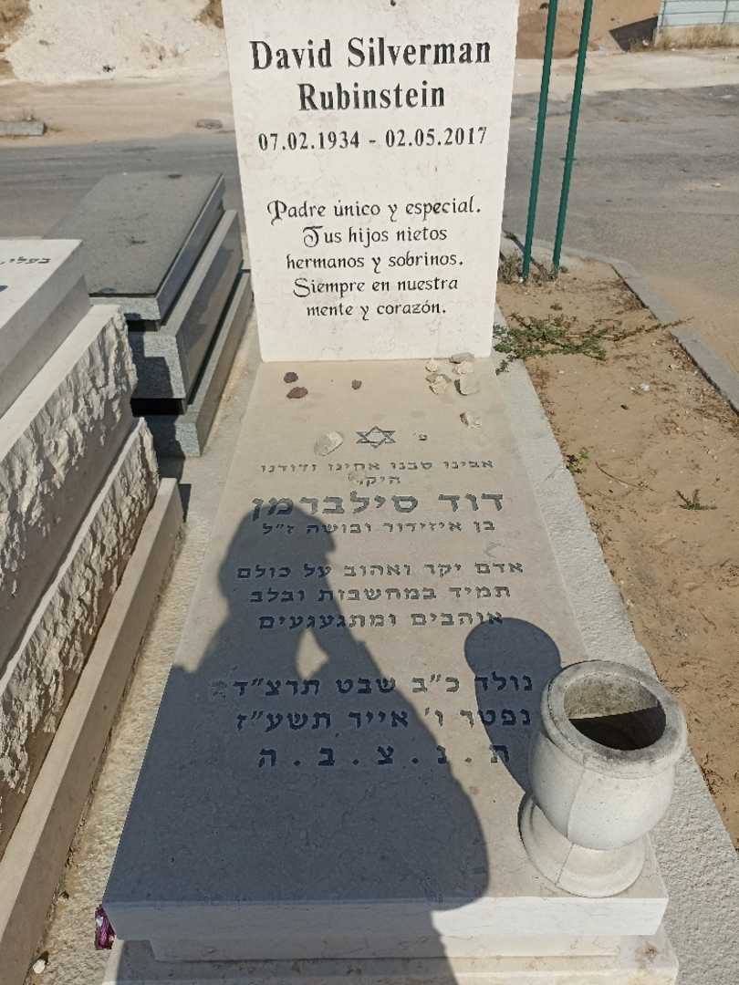 קברו של דוד סילברמן. תמונה 2