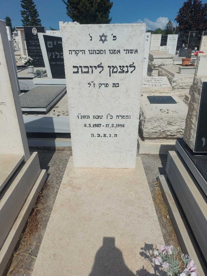 קברו של לוצמן ליובוב. תמונה 1