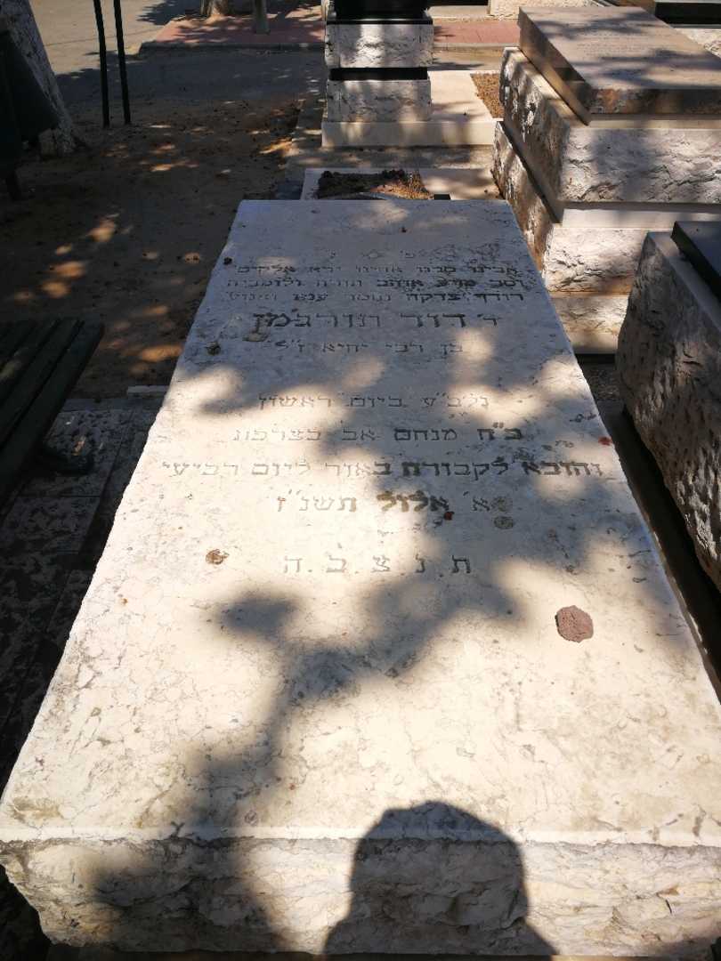 קברו של דוד תורגמן. תמונה 1