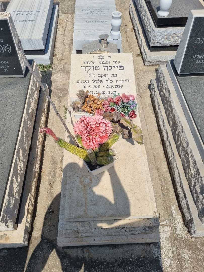 קברו של פייגה טוקר. תמונה 1